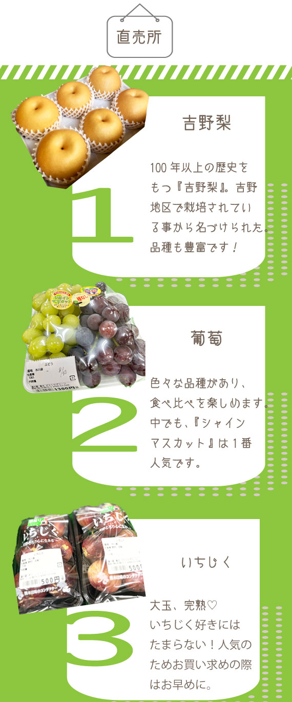 道の駅竜北夏季オススメ