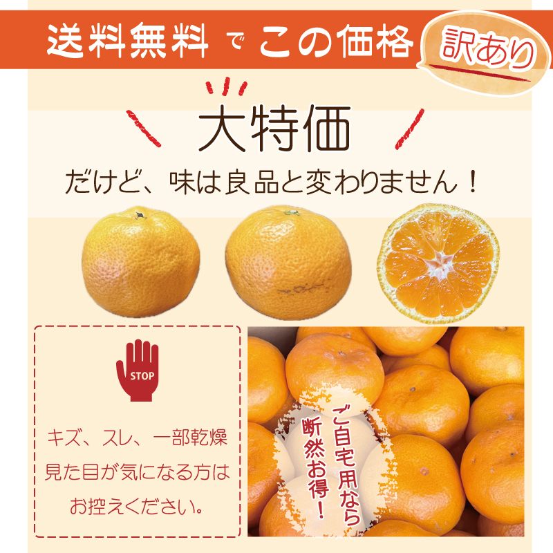 訳ありみかん