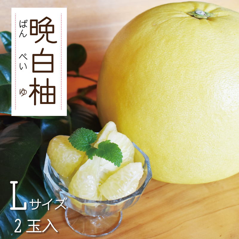 晩白柚(ハウス物)