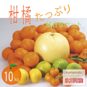 柑橘セット