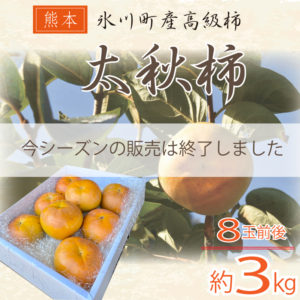 太秋柿