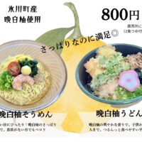 晩白柚うどんそうめん
